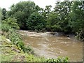 The River Dearne the day after flooding.