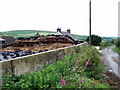 Silage heap and foxgloves at Trewern