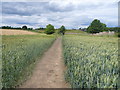 Avenue Washlands Nature Reserve - Approaching Viewing Points