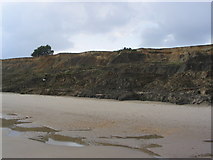 SZ2293 : Cliffs west of Barton-on-Sea by Stephen Williams