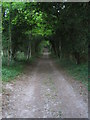 Track near Khyber Pass, Buckholt 2