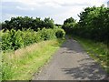 Private road leading to caravan park, Bullockstone