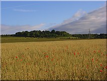 SU2143 : Farmland, Cholderton by Andrew Smith