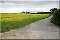 Farm track near Chalk Croft farm