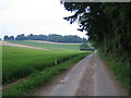 Roman road, Buckholt Lane, Buckholt