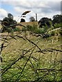 Looking across Ammerdown Park to the column