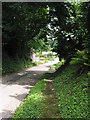 Country road, Weston-under-Penyard