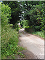 Country road, Weston-under-Penyard