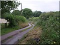 Lane near Chubhouse Farm