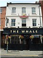 The Whale