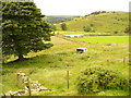 Site of Jacky Barn Farm