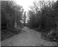 Abutments of old bridge, Stratford and Midland Junction railway