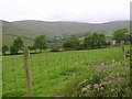 Near Cranagh, County Tyrone