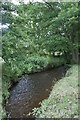 Stream Near to Halghton