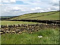 Fields and Boundary Walls Hill Side