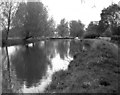 Above Worsfold Gates, River Wey, Surrey