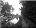 Above New Haw Lock, River Wey Navigation