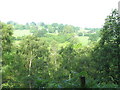 View across the Nant y Pandy valley towards Fron Heulog