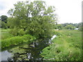 River Beane near Bengeo