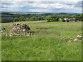 Ruin and pastures in Keenley