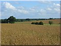 Farmland, Kimpton