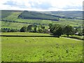 Pastures above Keenleyside Hill Farm