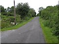 Road at Derrynaweagh