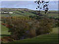 River Usk - Afon Wysg Flanked With Woods & Meadows