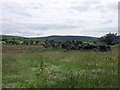 Landscape with distant mast