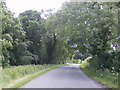 Bluestone Ridge road near South Ormsby