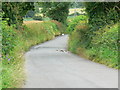 Road between Compton Common and Hunstrete