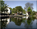 Carshalton Ponds, Surrey