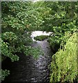 River Calder & Weir in distance - from St George