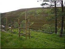 NN8770 : Stile across deer fence by Lis Burke