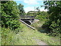 Avenue Washlands - River Rother passes under Mill Lane