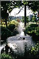 SZ0891 : Bournemouth: fountain in the Gardens by Chris Downer