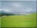 Field with Rainbow