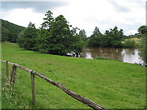 SO6129 : River Wye near Lyndor Wood by Pauline E