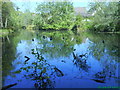 Old ornamental pond in Culduthel Woods