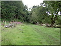 Bridleway near Moel Famau