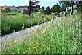 Benenden Hospital from Green Lane