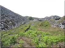 SJ1239 : The bottom of the trwnc incline from the Deeside Quarry tramway extension by Eric Jones