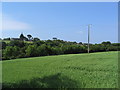 View towards St Keverne