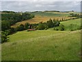 Downland, Pitton