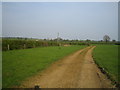 Footpath near Quainton