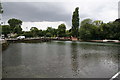 East Pond, Carshalton, Surrey