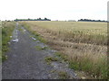 View north of the Bulford Droveway