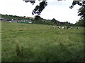 Dairy farm north of Pitton