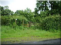 Footpath to Brook Cottage