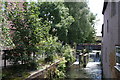 Sluices on the River Wandle, Carshalton, Surrey